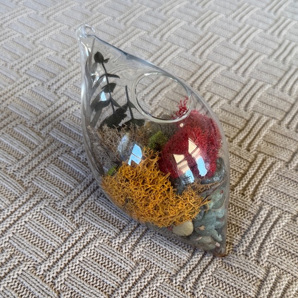 Glass Teardrop Hanging Terrarium with Red, Yellow, and Green Moss - Picture 4 of 10